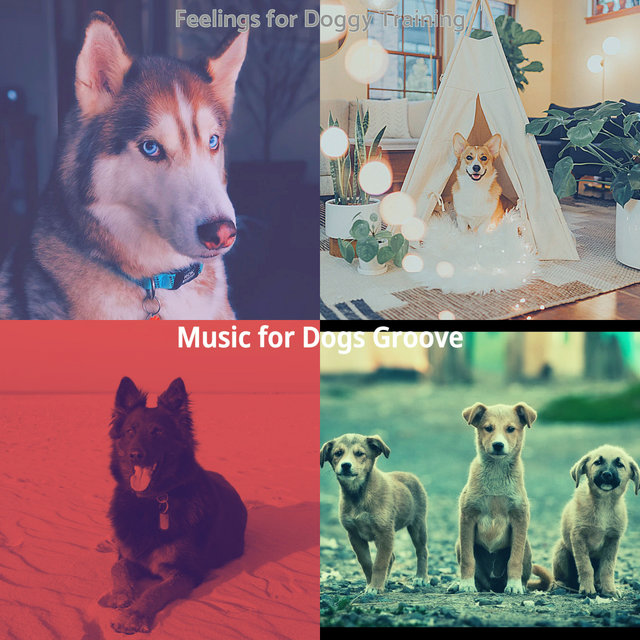 Feelings for Doggy Training