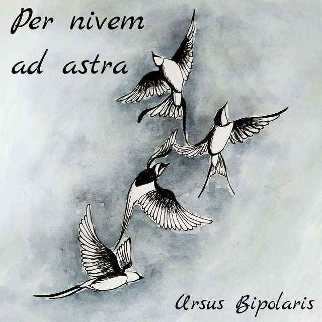 Per nivem ad astra