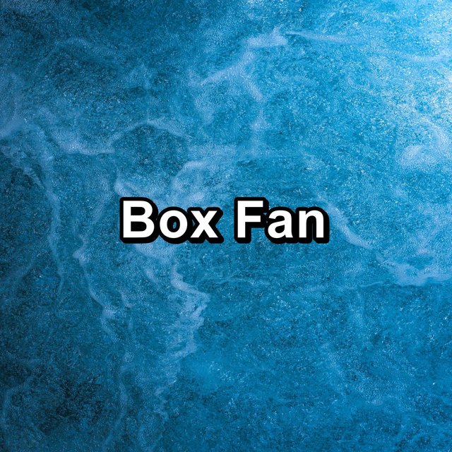 Box Fan