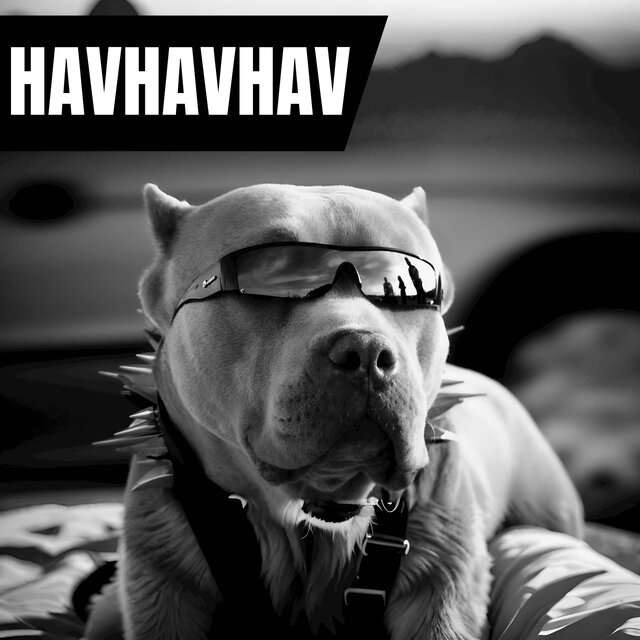 HAVHAVHAV (Remix)