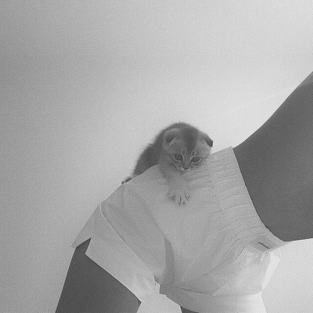 all morning