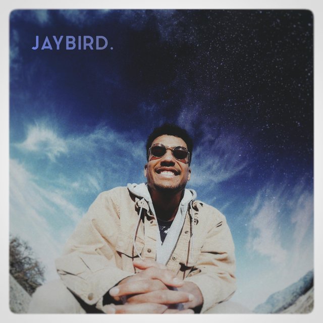 Jaybird.