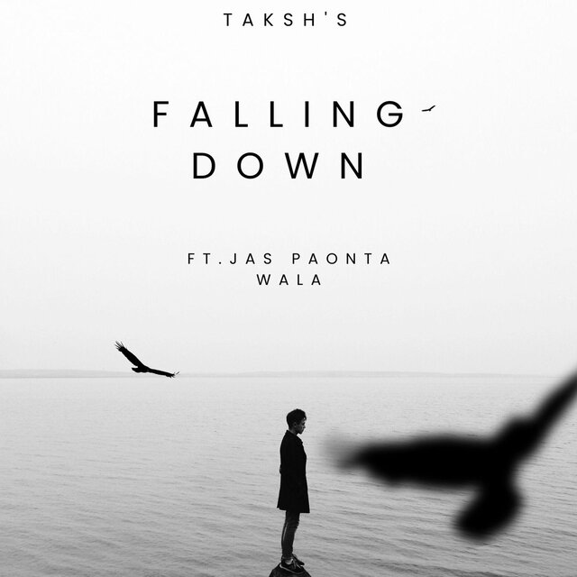 Falling Down (feat. Jas paonta wala)