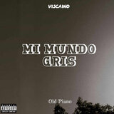 Mi Mundo Gris