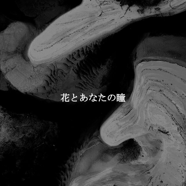 花とあなたの瞳
