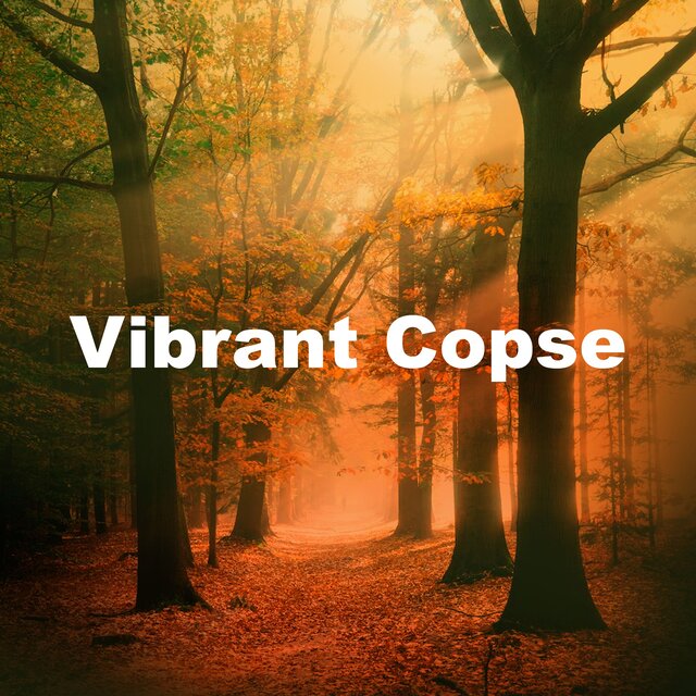 Vibrant Copse