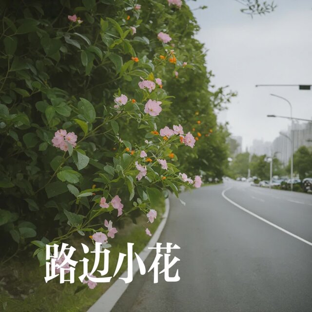 路边小花