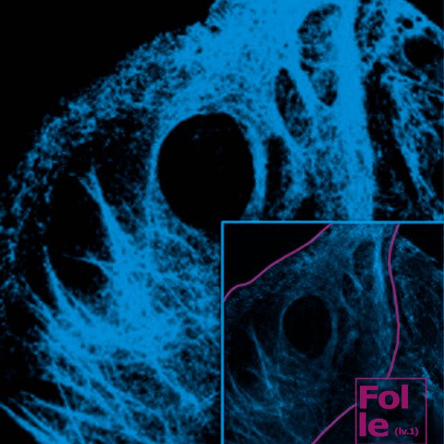 Folle (lv.1) (feat. pollokraken)
