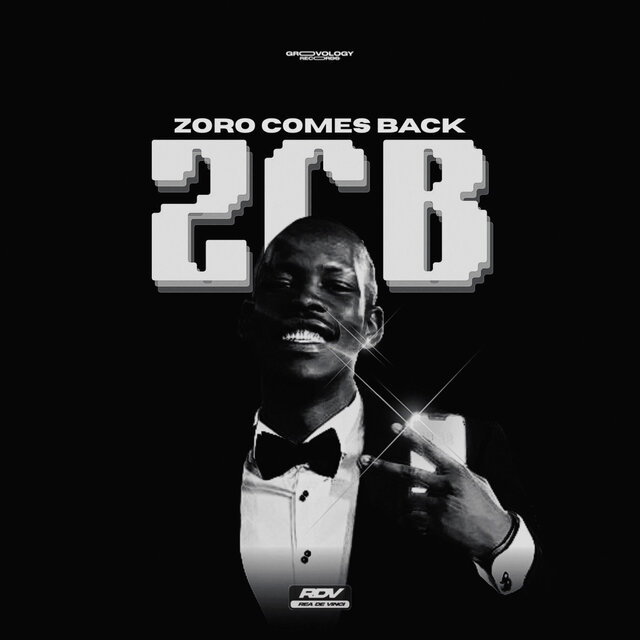 Zoro Comes Back 2