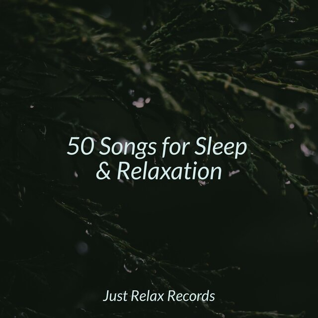 50 Songs for Sleep & Relaxation