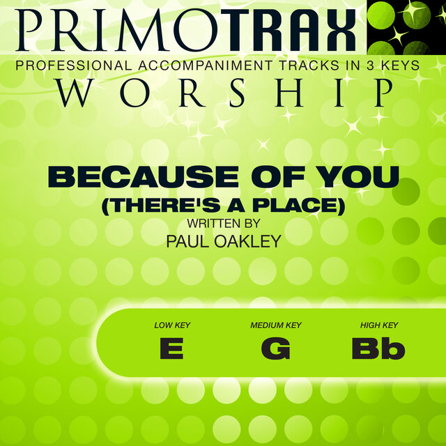 Because of You - There's a Place (Worship Primotrax) [Performance Tracks] - EP