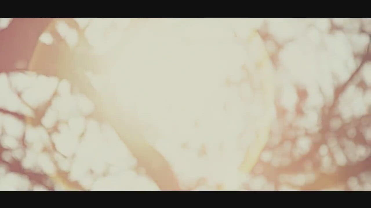 Été D'Amour