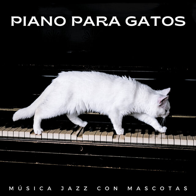 Piano Para Gatos: Música Jazz Con Mascotas