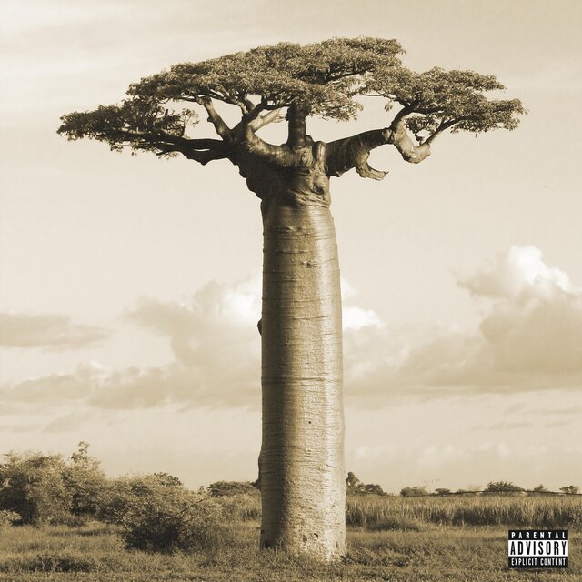 Roots