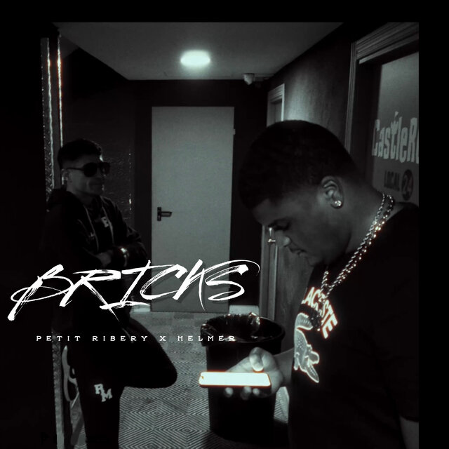 Bricks
