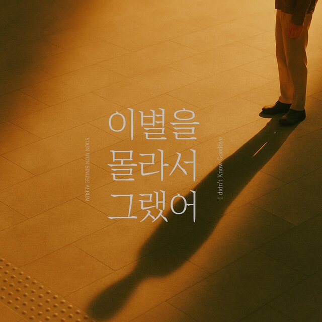 I didn't Know Goodbye