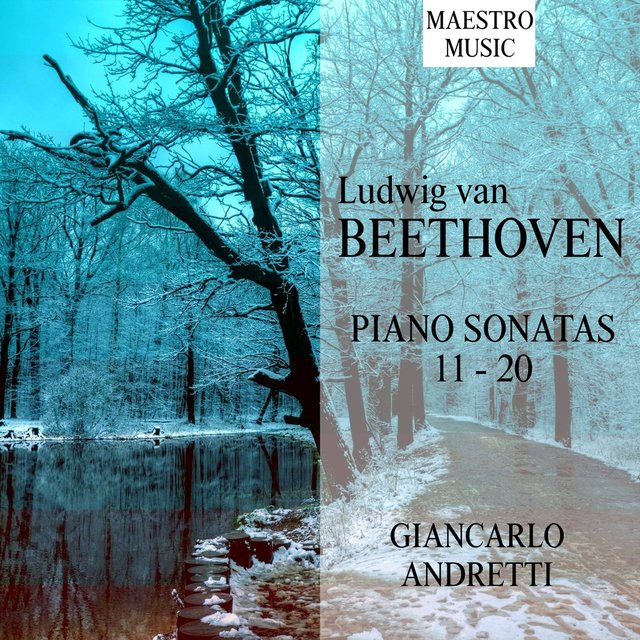 Beethoven: Piano Sonatas 11 - 20