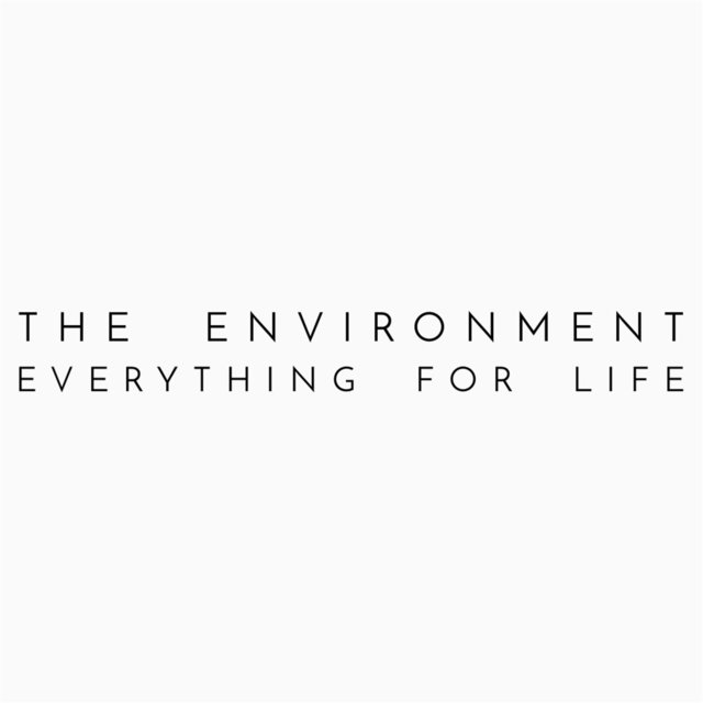 Everything for Life
