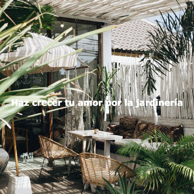 Haz crecer tu amor por la jardinería