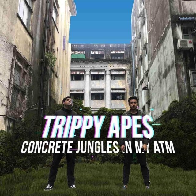 Concrete Jungles in My ATM