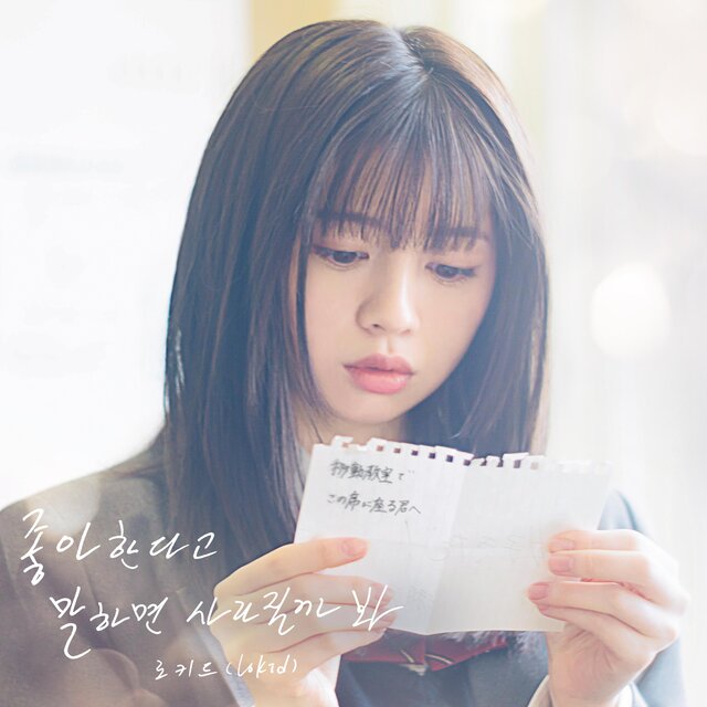 I'm afraid you will disappear in someday (Our Secret Diary X Lokid)