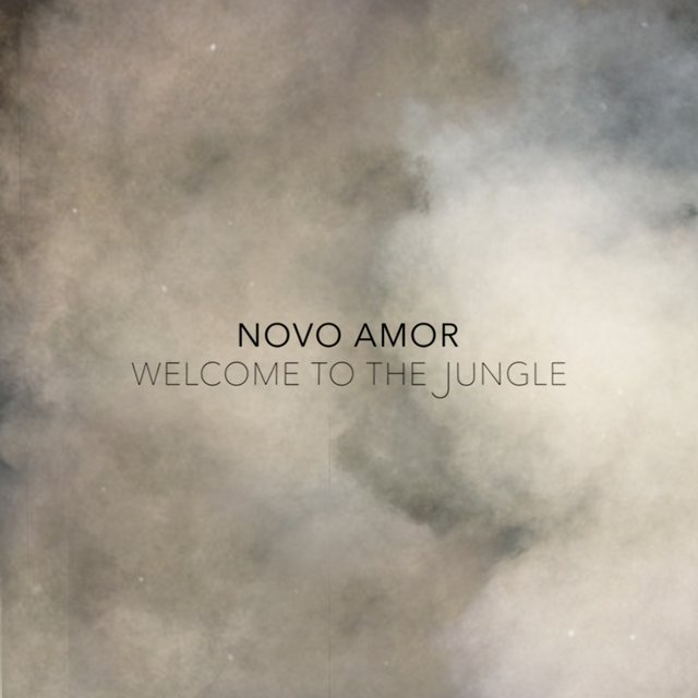 Novo Amor On Tidal Taught how to celebrate itall out, i'd replicate your painclimb down, if only for a taste. novo amor on tidal