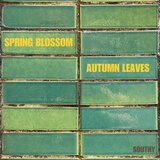 Spring Blossom + Autumn Leaves