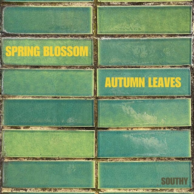 Spring Blossom + Autumn Leaves