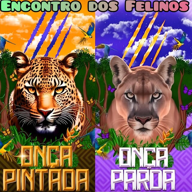 Encontro dos Felinos.