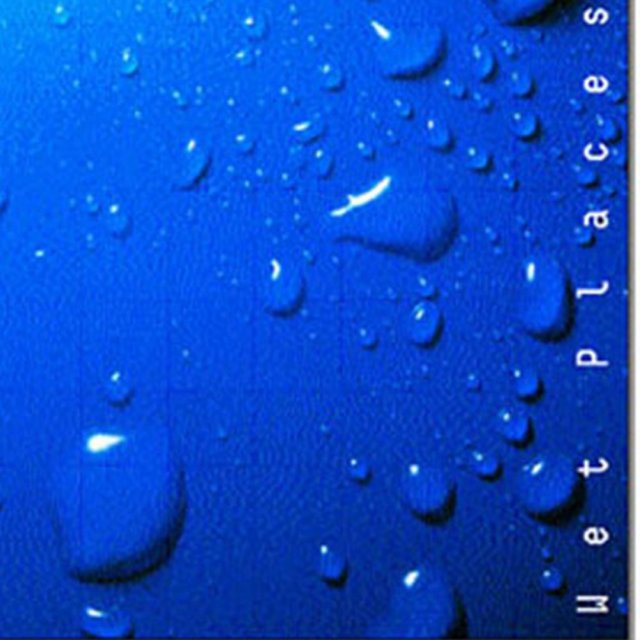 Wet Places