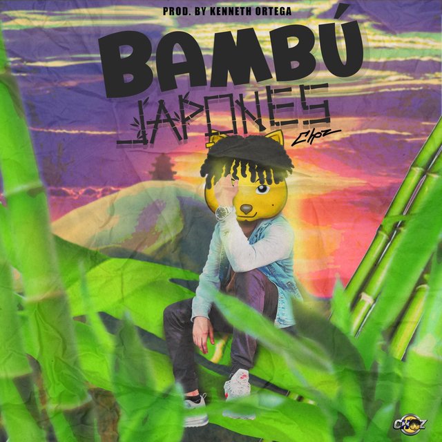 Bambú Japones