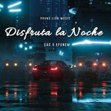 Disfruta la Noche