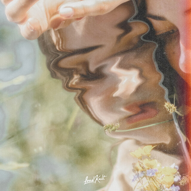 Reflections