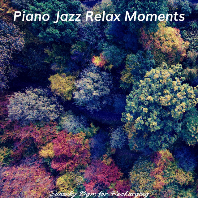 Swanky Bgm for Recharging