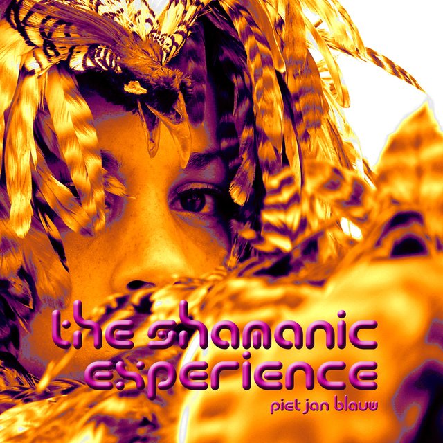 The Shamanic Experience