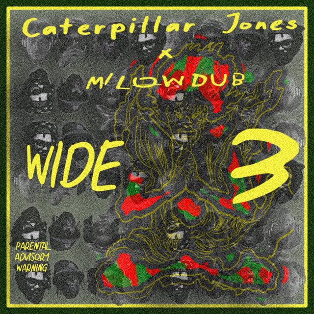 WIDE 3