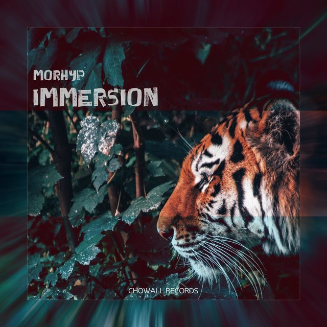 Immersion