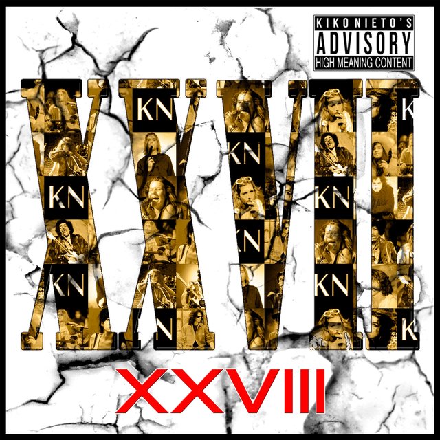 XXVIII