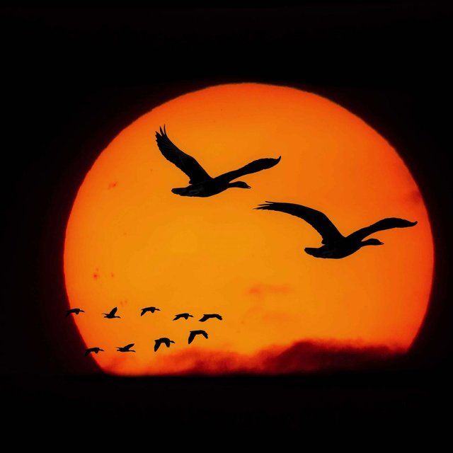 fleeing the sunset