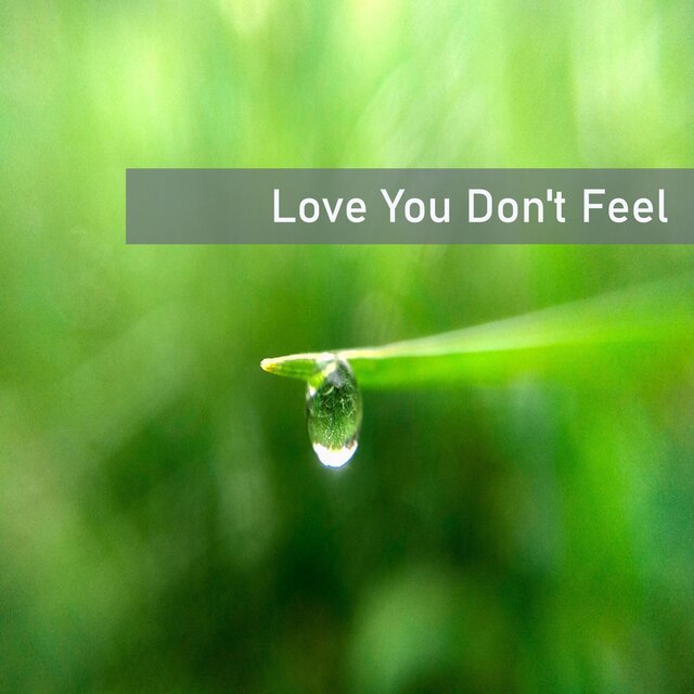 Love You Don't Feel