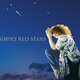 Cover art for album Stars (Collector's Edition) by Simply Red