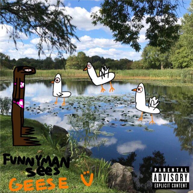 FunnyMan Sees Geese
