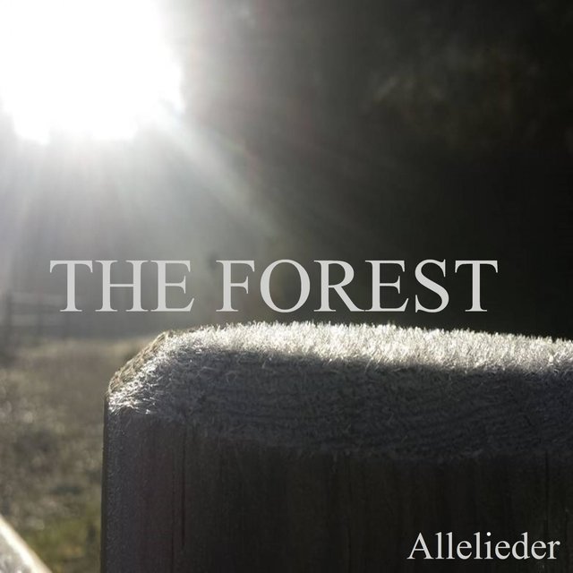 THE FOREST