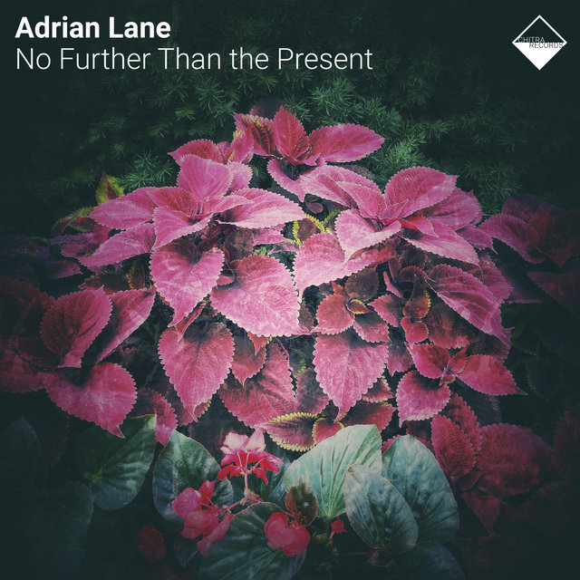 No Further Than the Present