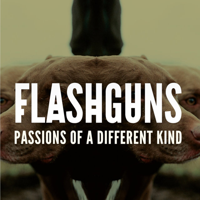 Passions of a Different Kind