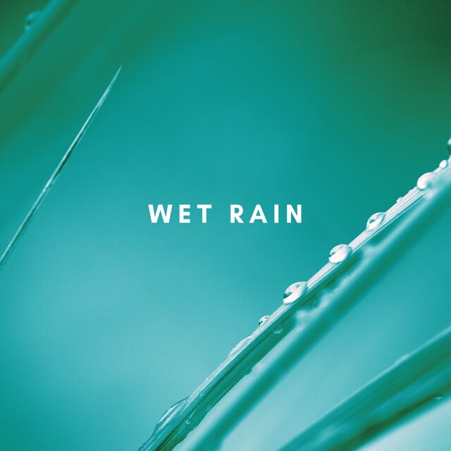 Rain Droplets