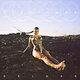 Cover art for album Dirt Femme (Extended Cut) by Tove Lo