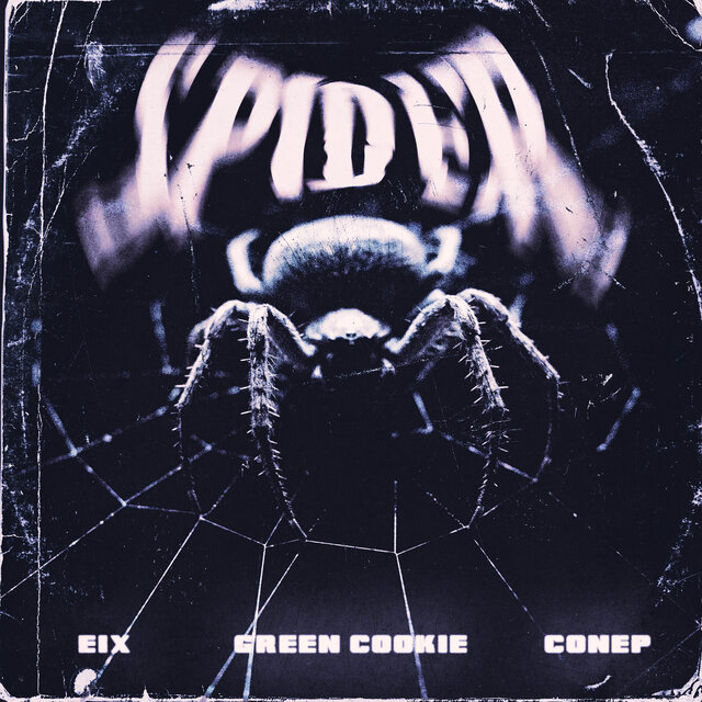 Spider