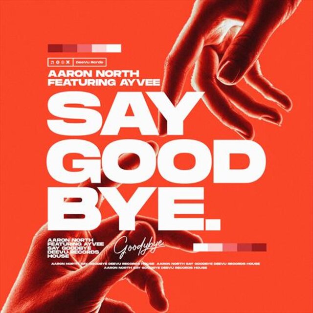 Say Goodbye (feat. Ayvee)