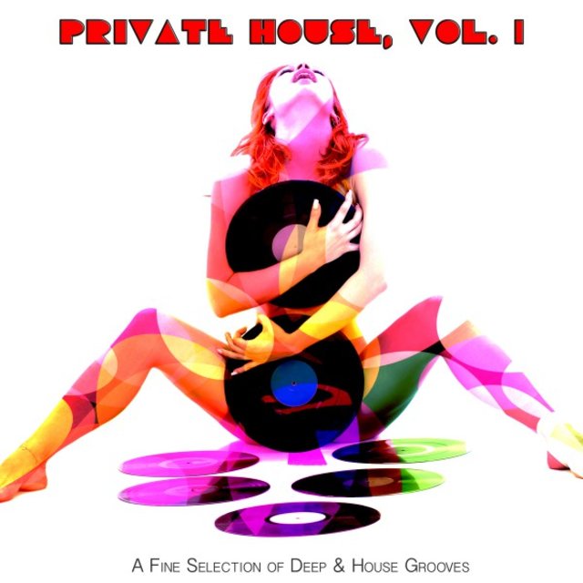 Private House, Vol. 1 (A Fine Selection of Deep & House Grooves)